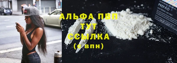 гидра Красноперекопск