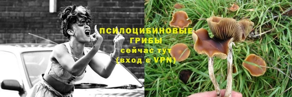 apvp Тихорецк