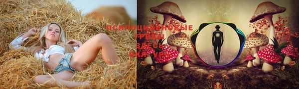 MDMA Premium VHQ Краснослободск